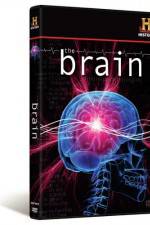 Watch The Brain Megashare8