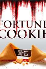 Watch Fortune Cookie Megashare8