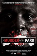 Watch A Murder in the Park Megashare8