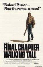 Watch Final Chapter: Walking Tall Megashare8