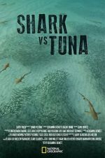 Watch Shark vs Tuna Megashare8