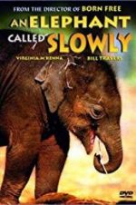 Watch An Elephant Called Slowly Megashare8