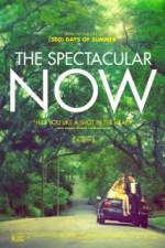 Watch The Spectacular Now Megashare8