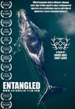 Watch Entangled: The Race to Save Right Whales from Extinction Megashare8