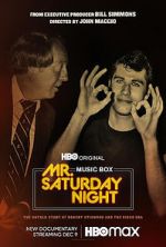 Watch Mr. Saturday Night Megashare8