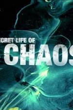 Watch The Secret Life of Chaos Megashare8