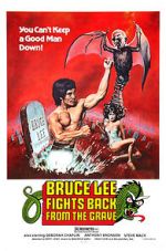 Watch Bruce Lee Fights Back from the Grave Megashare8