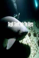 Watch National Geographic Wild Sixgill Shark Into The Abyss Megashare8