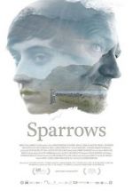 Watch Sparrows Megashare8