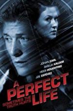 Watch A Perfect Life Megashare8