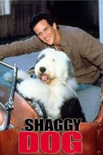 Watch The Shaggy Dog Megashare8