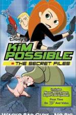 Watch "Kim Possible" Attack of the Killer Bebes Megashare8