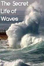 Watch The Secret Life of Waves Megashare8