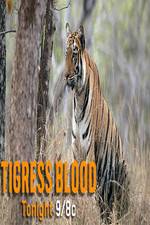 Watch Discovery Channel-Tigress Blood Megashare8