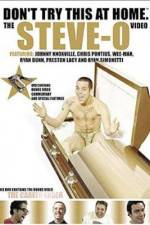 Watch Don't Try This at Home The Steve-O Video Megashare8