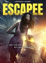 Watch The Escapee Megashare8