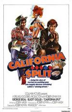 Watch California Split Megashare8