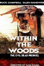 Watch Within the Woods Megashare8