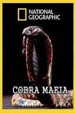 Watch National Geographic Cobra Mafia Megashare8