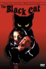 Watch Black Cat Megashare8