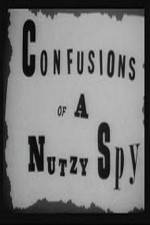 Watch Confusions of a Nutzy Spy Megashare8