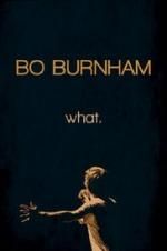 Watch Bo Burnham: what. Megashare8