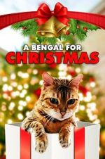 Watch A Bengal for Christmas Megashare8