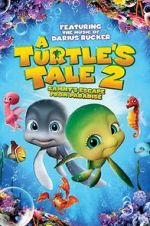 Watch A Turtle\'s Tale 2: Sammy\'s Escape from Paradise Megashare8