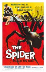 Watch The Spider Megashare8