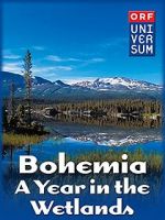 Watch Bohemia: A Year in the Wetlands Megashare8