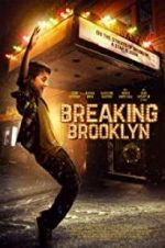 Watch Breaking Brooklyn Megashare8