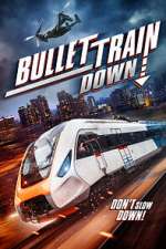 Watch Bullet Train Down Megashare8