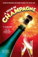 Watch A Year in Champagne Megashare8