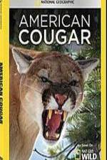 Watch National Geographic - American Cougar Megashare8