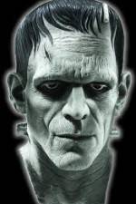 Watch Frankenstein Birth of a Monster Megashare8