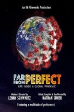 Watch Far from Perfect: Life Inside a Global Pandemic Megashare8