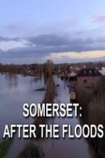 Watch Somerset: After the Floods Megashare8