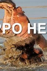 Watch Hippo Hell Megashare8
