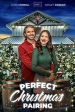 Watch A Perfect Christmas Pairing Megashare8