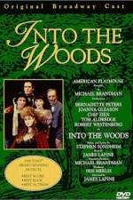 Watch Into the Woods Megashare8