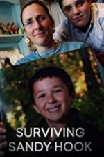 Watch Surviving Sandy Hook Megashare8