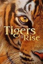 Watch Tigers on the Rise Megashare8