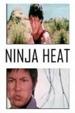 Watch Ninja Heat Megashare8