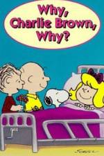 Watch Why Charlie Brown Why Megashare8