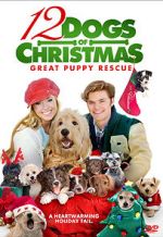 Watch 12 Dogs of Christmas: Great Puppy Rescue Megashare8