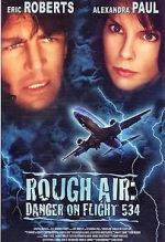Watch Rough Air: Danger on Flight 534 Megashare8