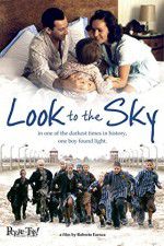 Watch Look to the Sky Megashare8