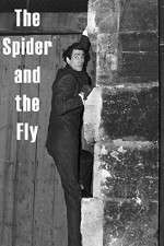 Watch The Spider and the Fly Megashare8