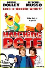 Watch Hatching Pete Megashare8