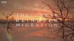 Watch All Aboard! The Great Reindeer Migration Megashare8